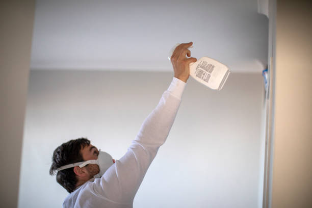 Best Mold Damage Repair  in Doctor Phillips, FL